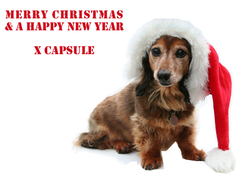 capsule_xmas