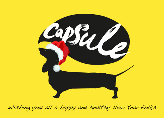 capsule_logo_xmas